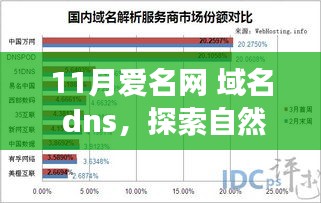 探索自然美景之旅，与11月爱名网共赴内心的宁静与DNS上的奇遇