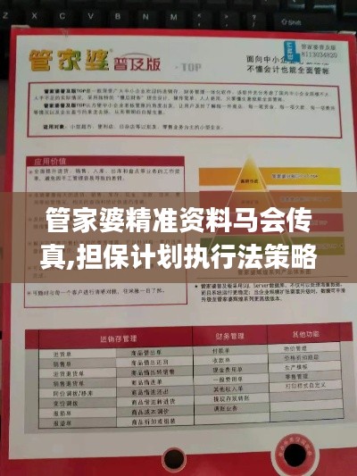 管家婆精准资料马会传真,担保计划执行法策略_动画版LIO7.78