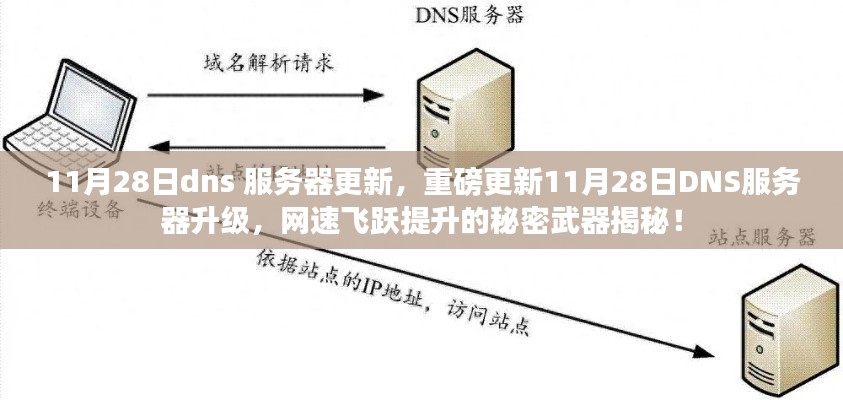 重磅更新揭秘，11月28日DNS服务器升级，网速飞跃提升的秘密武器！