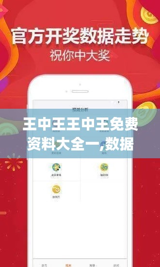 王中王王中王免费资料大全一,数据导向计划_便携版VDK7.28