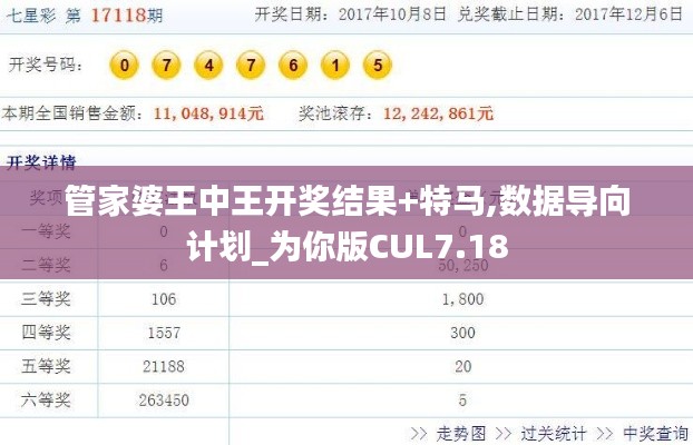 管家婆王中王开奖结果+特马,数据导向计划_为你版CUL7.18