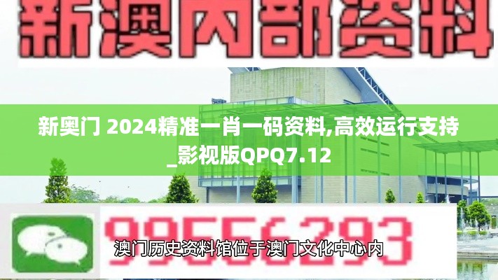 新奥门 2024精准一肖一码资料,高效运行支持_影视版QPQ7.12