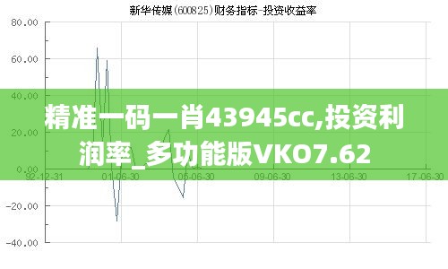 精准一码一肖43945cc,投资利润率_多功能版VKO7.62