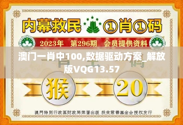 澳门一肖中100,数据驱动方案_解放版VQG13.57