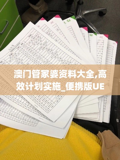 澳门管冢婆资料大全,高效计划实施_便携版UEC13.23