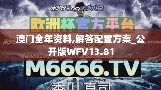 澳门全年资料,解答配置方案_公开版WFV13.81