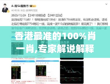 香港最准的100%肖一肖,专家解说解释定义_钻石版ZCF13.9