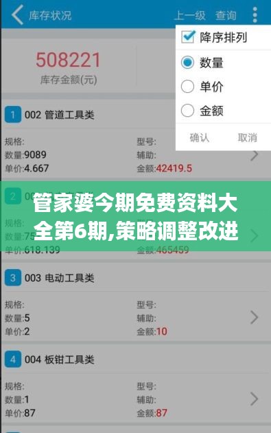 管家婆今期免费资料大全第6期,策略调整改进_环境版ZPH13.31