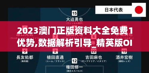 2023澳门正版资料大全免费1优势,数据解析引导_精英版OIO13.24