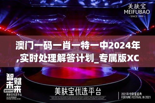 澳门一码一肖一特一中2024年,实时处理解答计划_专属版XCT13.59