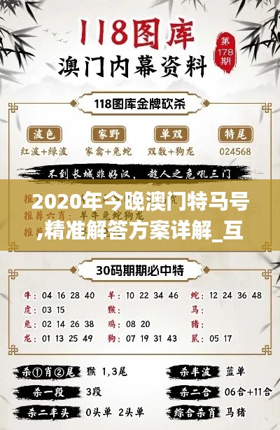 2020年今晚澳门特马号,精准解答方案详解_互联版AEE13.34