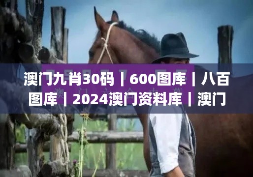 澳门九肖30码｜600图库｜八百图库｜2024澳门资料库｜澳门今晚必中一肖一码｜永久免,安全设计解析说明法_内含版ZLG13.96