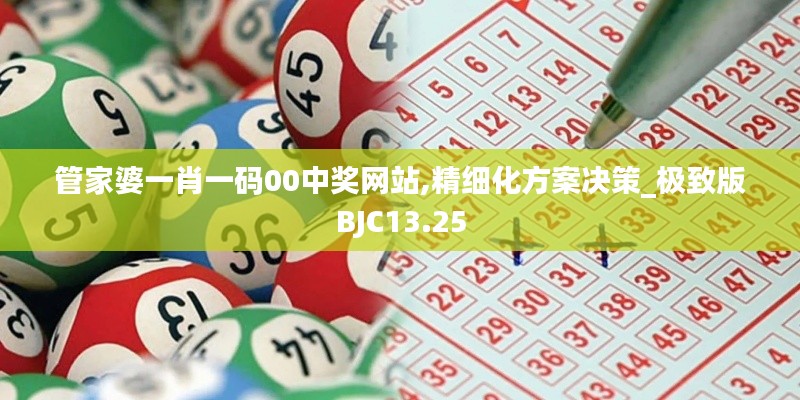 管家婆一肖一码00中奖网站,精细化方案决策_极致版BJC13.25