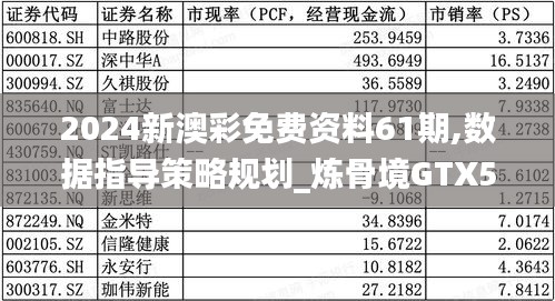 2024新澳彩免费资料61期,数据指导策略规划_炼骨境GTX5.66