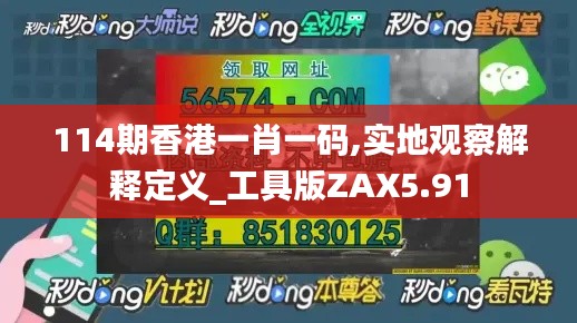 114期香港一肖一码,实地观察解释定义_工具版ZAX5.91