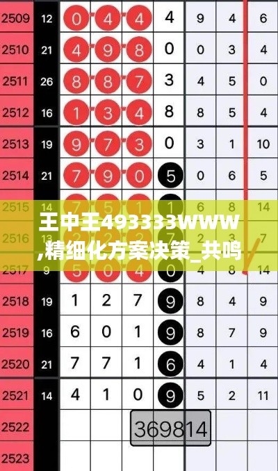 王中王493333WWW,精细化方案决策_共鸣版EJC14.20