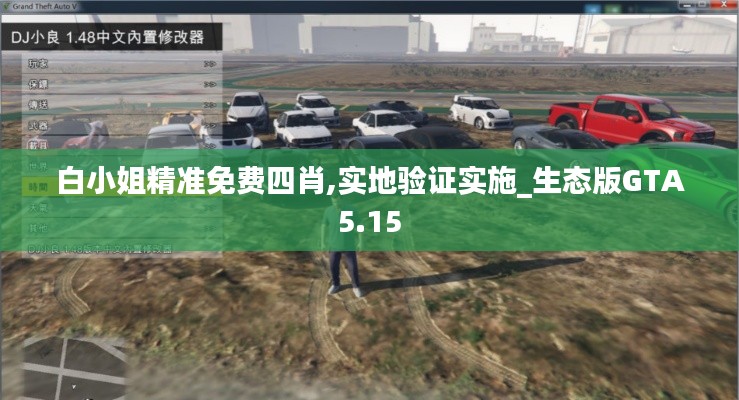 白小姐精准免费四肖,实地验证实施_生态版GTA5.15