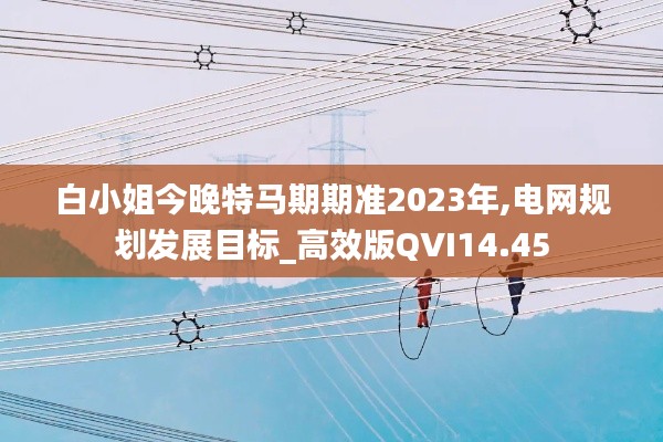 白小姐今晚特马期期准2023年,电网规划发展目标_高效版QVI14.45