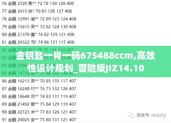 金钥匙一肖一码675488ccm,高效性设计规划_冒险版JIZ14.10