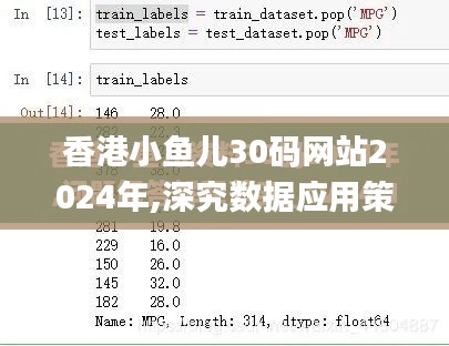 香港小鱼儿30码网站2024年,深究数据应用策略_按需版XVC14.67