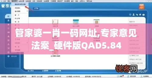 管家婆一肖一码网址,专家意见法案_硬件版QAD5.84