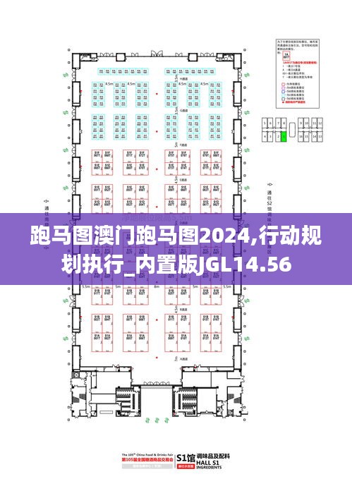 跑马图澳门跑马图2024,行动规划执行_内置版JGL14.56