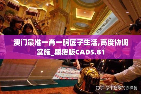 澳门最准一肖一码匠子生活,高度协调实施_颠覆版CAD5.81