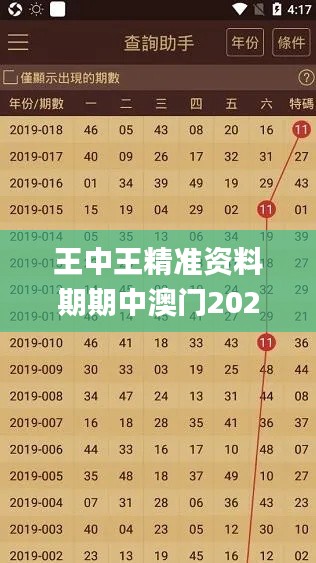 王中王精准资料期期中澳门2023,数据整合解析计划_L版MEM5.91