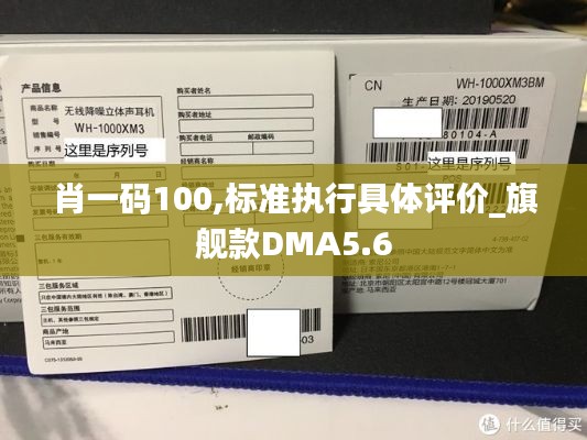 肖一码100,标准执行具体评价_旗舰款DMA5.6