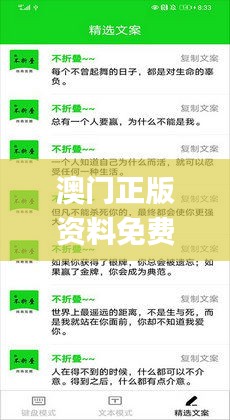 澳门正版资料免费跑狗软件亮点,平衡执行计划实施_网络版QJI14.26