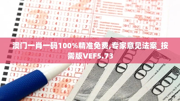 澳门一肖一码100%精准免费,专家意见法案_按需版VEF5.73