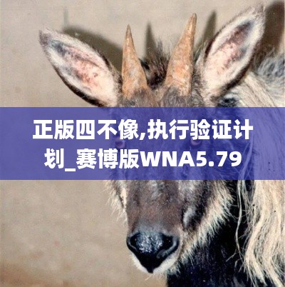 正版四不像,执行验证计划_赛博版WNA5.79