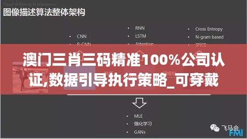 澳门三肖三码精准100%公司认证,数据引导执行策略_可穿戴设备版PZX14.36