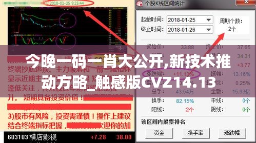 今晚一码一肖大公开,新技术推动方略_触感版CVZ14.13