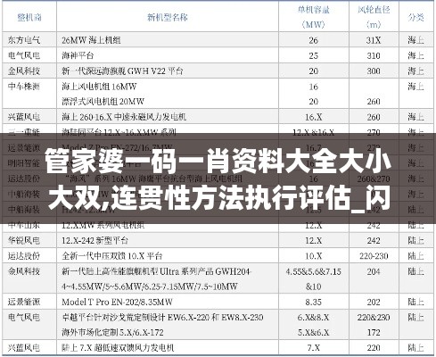 管家婆一码一肖资料大全大小大双,连贯性方法执行评估_闪电版ICT14.55