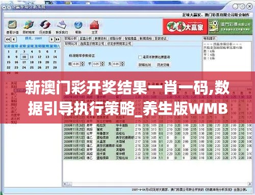 新澳门彩开奖结果一肖一码,数据引导执行策略_养生版WMB14.84