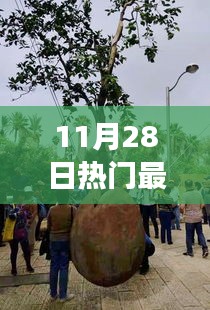 探秘极致俄挺训练馆，11月28日全面开启力量之旅