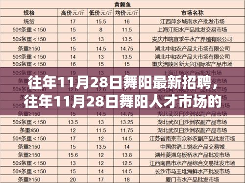 舞阳人才市场最新招聘动态，历年11月28日招聘信息汇总