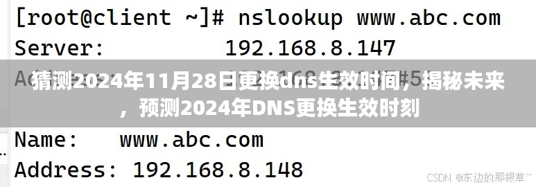 揭秘预测，2024年DNS更换生效时刻猜想与未来展望