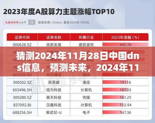 2024年11月28日中国DNS信息走向预测