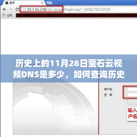 如何查询历史上11月28日萤石云视频DNS的详细步骤指南（初学者与进阶用户适用）