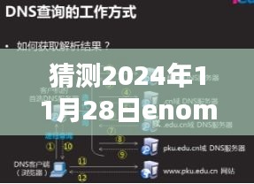 走进Enom域名的技术世界，预测未来的DNS设置（2024年视角）