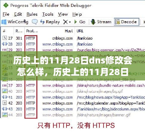 历史上的11月28日DNS修改，心灵与自然的奇妙之旅改变历程