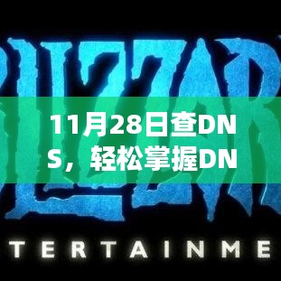 11月28日DNS查询技巧详解与步骤指南