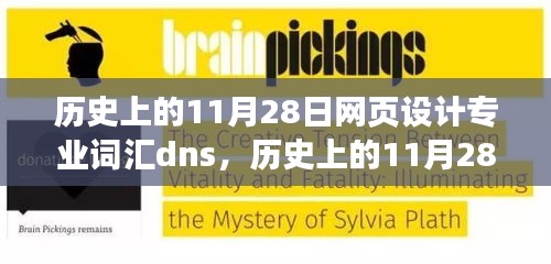 揭秘历史上的11月28日与网页设计专业词汇dns背后的故事，小红书带你探索奥秘之旅