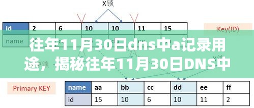 揭秘，往年11月30日DNS中的A记录用途及其重要性解析