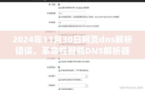 革命性智能DNS解析器重塑未来网页导航体验，解析错误挑战与解决方案（2024年11月30日）
