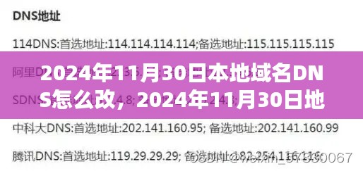 地域名DNS更改全攻略，轻松操作指南（针对2024年11月30日）