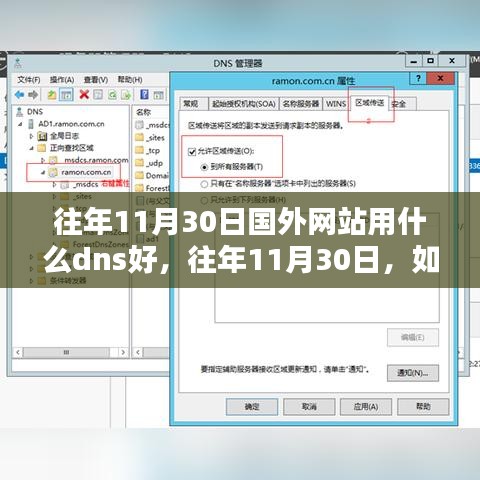 往年11月30日如何选择最佳的国外DNS服务器以提高网络体验