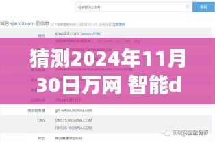 揭秘未来智能DNS，万网在2024年11月30日的智能dns展望与技术创新探索